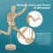U.S. Art Supply 12" Wooden Male & Female Manikin Posable Figures for Drawing - Articulated Mannequin with Base and Flexible Body for Drawing The Human Figure